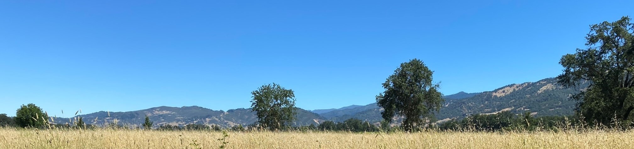 Header image of hills in Northern California.